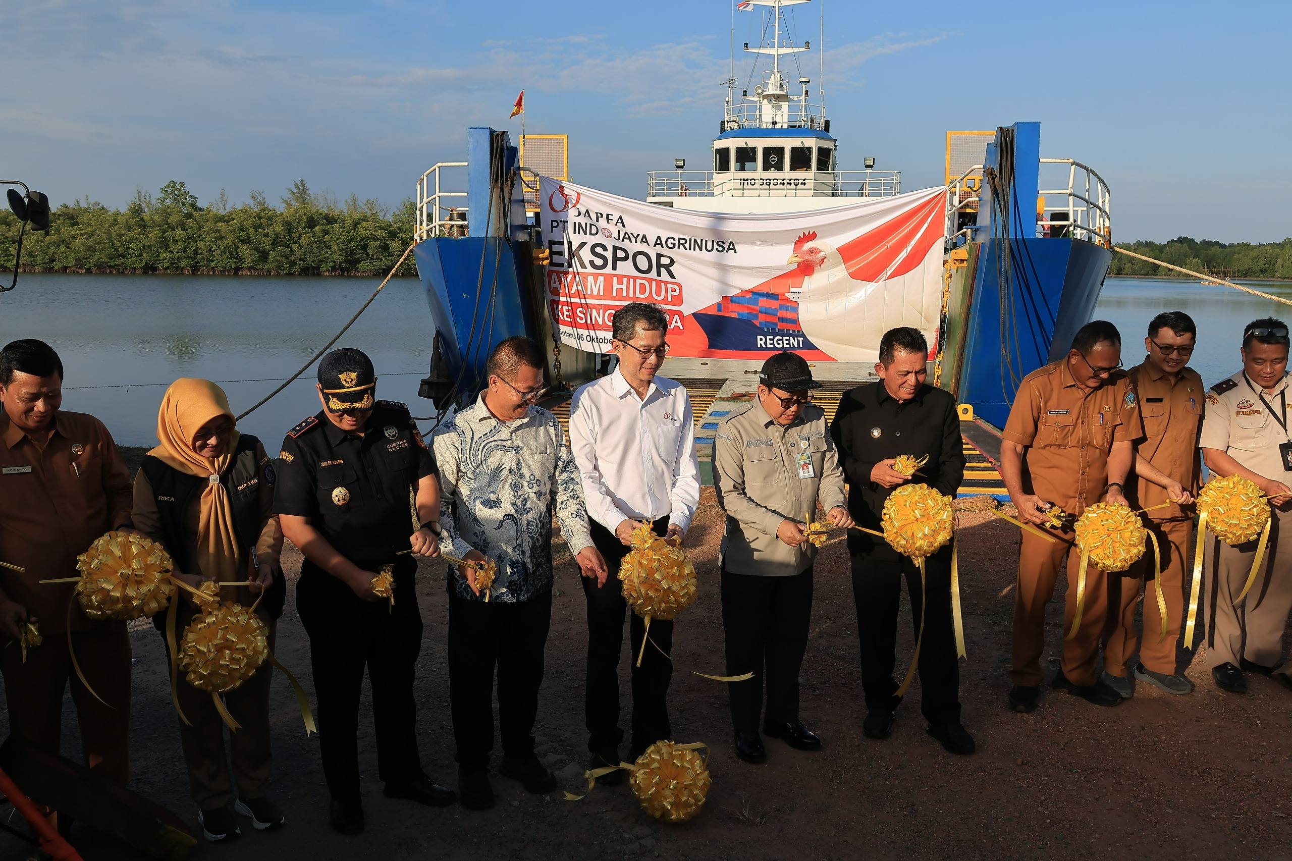 Ekspor Ayam Hidup dari Bintan ke Singapura, Langkah Strategis Menuju Pasar Global